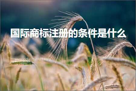 跨境电商知识:国际商标注册的条件是什么