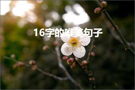 篮球唯美句子詹姆斯（文案89条）