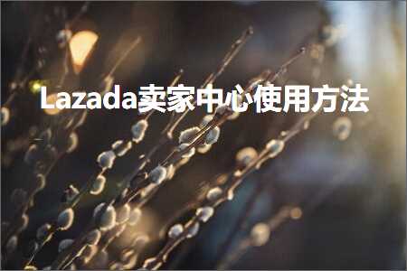 璺ㄥ鐢靛晢鐭ヨ瘑:Lazada鍗栧涓績浣跨敤鏂规硶