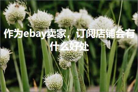 跨境电商知识:作为ebay卖家，订阅店铺会有什么好处