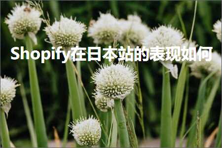 跨境电商知识:Shopify在日本站的表现如何