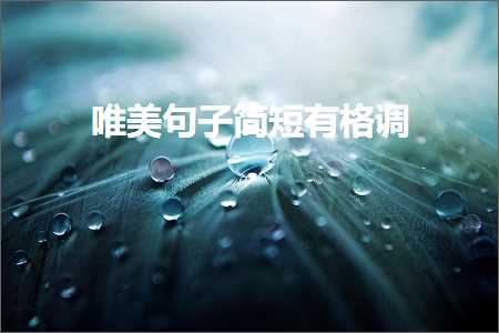 鍒濊鐩搁亣鐨勫敮缇庡彞瀛愶紙鏂囨351鏉★級