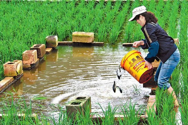 绌蜂汉鍋氫粈涔堢敓鎰忔潵閽卞揩?鍋氫粈涔堝亸闂ㄥ埄娑﹀ぇ